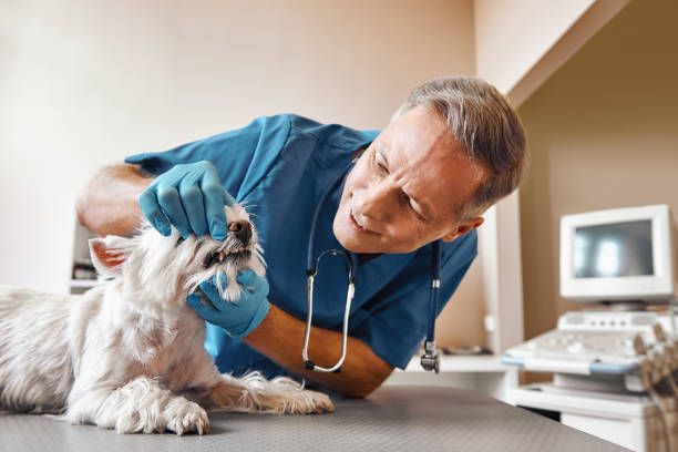 Best Emergency Tooth Extraction  in Dublin, OH